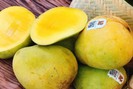 Yên Châu: Phát triển cây ăn quả gắn với tiêu thụ và xuất khẩu  