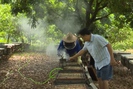 Sơn La: Lão nông giàu lên từ nghề nuôi ong