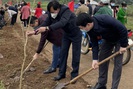 Hội Nông dân tỉnh Hoà Bình: Trồng hàng ngàn cây xanh đầu năm mới