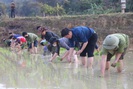 Sơn La: Hiệu quả dự án tăng cường tiếng nói và năng lực cho người nông dân ứng phó với biến đổi khí hậu