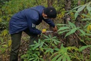 Hạt Kiểm lâm Mai Sơn: Làm tốt công tác bảo vệ rừng và PCCCR