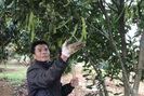 Nông thôn Tây Bắc: Mùa đơm hoa kết trái ở Sơn La