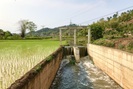 Mai Sơn: Đảm bảo nguồn nước cho trên 1.200 ha lúa xuân