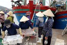 Giá dầu tăng cao, ngư dân Nghệ An thua lỗ sau chuyến biển