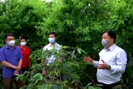 Sơn La: Sản xuất nông nghiệp sạch, nông nghiệp hữu cơ