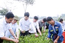 Hành trình về đích nông thôn mới của Hương Sơn giúp số hộ nghèo giảm gần 30%