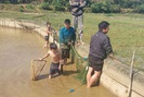 Ngày hội bắt cá của người Dao ở Vân Hồ