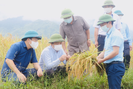 Hội Nông dân Phong Thổ: Cùng nông dân làm kinh tế nông nghiệp