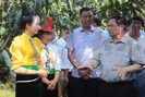 Thủ tướng Phạm Minh Chính chỉ ra 6 vấn đề cần hỗ trợ nông dân trong sản xuất nông nghiệp ở Sơn La