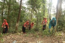 Mường Tè: Quyết tâm phát triển và bảo vệ rừng bền vững