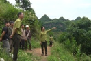Bản người Thái bảo vệ rừng xanh bằng hương ước