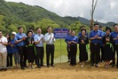 Lào Cai: Khánh thành  “Tuyến đường cây thanh niên”