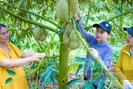 Trong số 100 "Nông dân Việt Nam xuất sắc" năm 2022, rất nhiều người là chủ trang trại thu nhập tiền tỷ