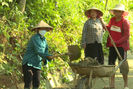 Phụ nữ Lai Châu: Bảo vệ môi trường, xây dựng nông thôn mới