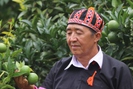 Chi Hội trưởng Nông dân Sơn La lãi hơn 1 tỷ/năm nhờ  cây ăn quả