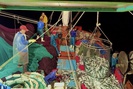 Clip ngư dân Quảng Bình chia sẻ về chuyến biển để đời giữa Biển Đông bắt gọn luồng cá nục khổng lồ 250 tấn 
