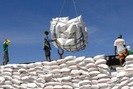 Ấn Độ hạn chế xuất khẩu gạo, cơ hội cho gạo Việt Nam?