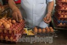 Vì sao thịt, trứng… vẫn chưa giảm giá theo xăng?
