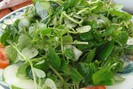 “Thần dược” giúp hỗ trợ điều trị nhiều loại bệnh, hóa ra là loại rau mọc dại này ở Việt Nam