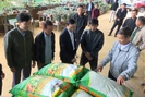 Hội Nông dân tỉnh Sơn La hỗ trợ hội viên 45 tấn phân bón phục vụ sản xuất