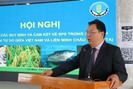 Xuất khẩu nông sản sang châu Âu: Không thể “đèn nhà ai nấy sáng”