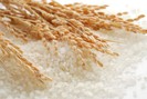 Giá gạo Thái Lan tăng liên tục, giá gạo Việt Nam vẫn đứng yên