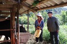 Điện Biên Đông: Già làng Cư Chừ Tú uy tín thế nào mà nói ai trong bản cũng nghe