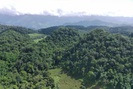 Chuyện giữ rừng ở Mai Sơn