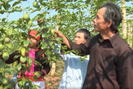 Lai Châu: Nông dân xã Bản Lang chung tay bảo vệ môi trường