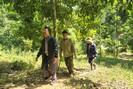 Lai Châu: Chuyển biến tích cực công tác phòng cháy chữa cháy rừng ở Bum Nưa