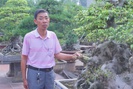 Quanh năm trồng cây cảnh, sân vườn xanh mát, một nông dân Nam Định xây nhà cao cửa rộng