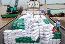 Tháng 6, giá gạo xuất khẩu trung bình của Việt Nam đạt tới 629,9 USD/tấn