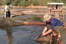Sơn La: Phát triển thủy sản tập trung, bền vững