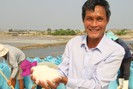 Diêm dân Ninh Thuận vững tâm sản xuất, việc tiêu thụ đã có Hợp tác xã này lo