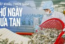 Xuất khẩu thuỷ sản: Chờ ngày mưa tan