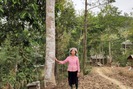 Lai Châu: Người dân xã Mường Than chung tay bảo vệ rừng