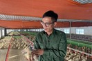 Lắp điều hòa trong khu nuôi vịt, chủ trang trại kiếm tiền tỷ mỗi năm