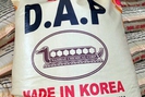 Nhập khẩu phân DAP từ Hàn Quốc diễn ra bình thường