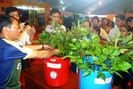 Chỉ 3 ngày tổ chức phiên chợ sâm Ngọc Linh, đã thu về gần 10 tỷ đồng, có cây sâm giá tới 850 triệu