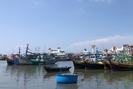Thi thể một người đàn ông được tàu cá vớt cách bờ biển Bình Thuận hơn 42 hải lý