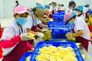 Xuất khẩu rau quả 8 tháng sang Trung Quốc đạt 2,26 tỷ USD, sầu riêng đóng góp gần 1,3 tỷ USD