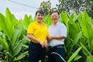 Giám đốc HTX dân tộc Giáy đưa bài thuốc gia truyền ở Lào Cai phục vụ sức khỏe cộng đồng
