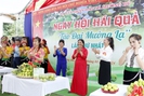 Sơn La: Mường Bú tổ chức ngày hội hái táo đại