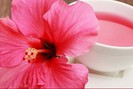 Lợi ích bất ngờ của hoa dâm bụt, trà hoa dâm bụt chữa được bệnh gì?