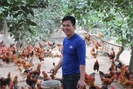 Đang làm cơ khí chuyển sang nuôi gà Ta Lò, một nông dân Thái Nguyên thu nhập tốt hẳn lên