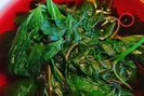 Loại “rau trường thọ”, thế giới yêu thích ở Việt Nam trồng bạt ngàn, ra đến chợ giá rẻ bèo