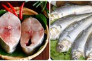 4 loại cá biển ngon, giàu dinh dưỡng ai cũng nên ăn mỗi tuần