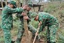 Bộ chỉ huy BĐBP Sơn La trồng hơn 1.000 cây xanh