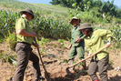 Kiểm lâm Sơn La: Làm tốt công tác bảo vệ và phát triển rừng