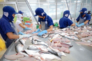 Xuất khẩu cá tra tăng trưởng âm ở hầu hết các thị trường và phân khúc sản phẩm